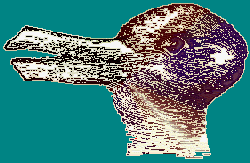 bunduck.gif (12813 bytes)