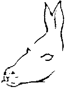 donkey.gif (1592 bytes)