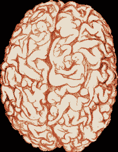 manbrain.gif (9635 bytes)