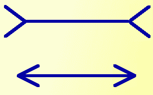 muller.gif (5636 bytes)