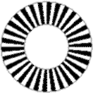 spin.gif (9655 bytes)