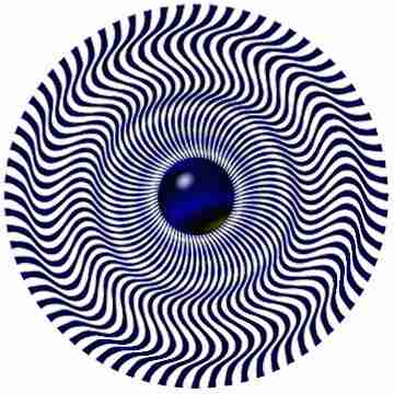 spin2.jpg (18725 bytes)