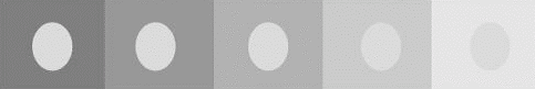contrast2.gif (6460 bytes)