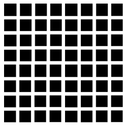 gryspots.gif (7746 bytes)