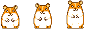 Homiaki